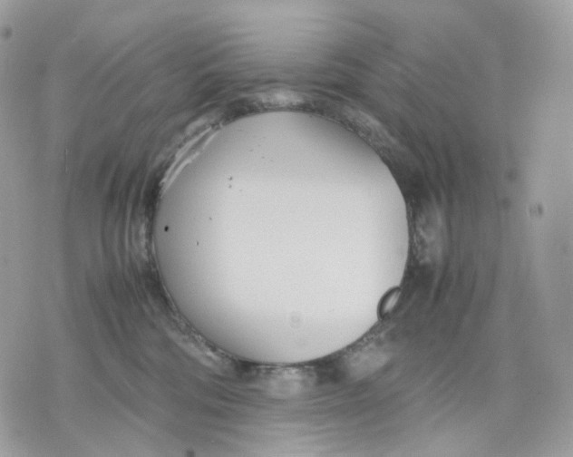 X0000075360330200609291507