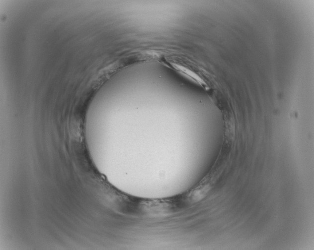 X0000075360331200609291507