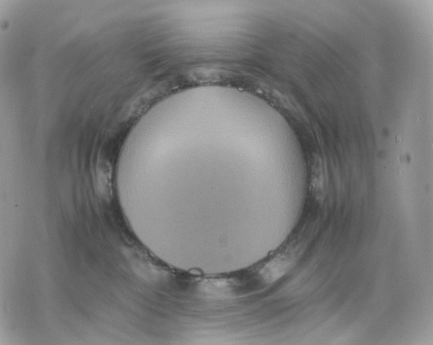 X0000075360332200609291507