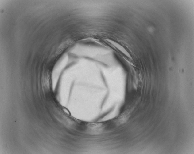 X0000075360334200609291507