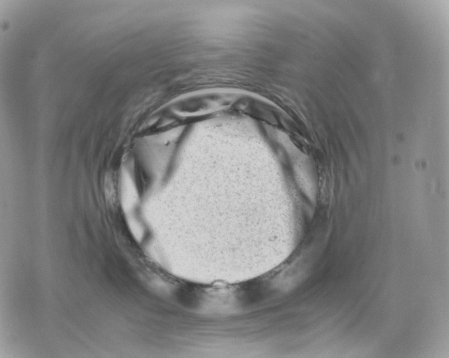 X0000075360335200609291507