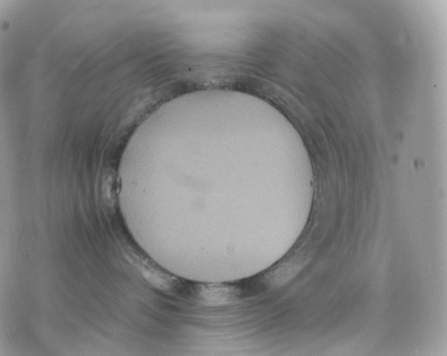 X0000075360336200609291507