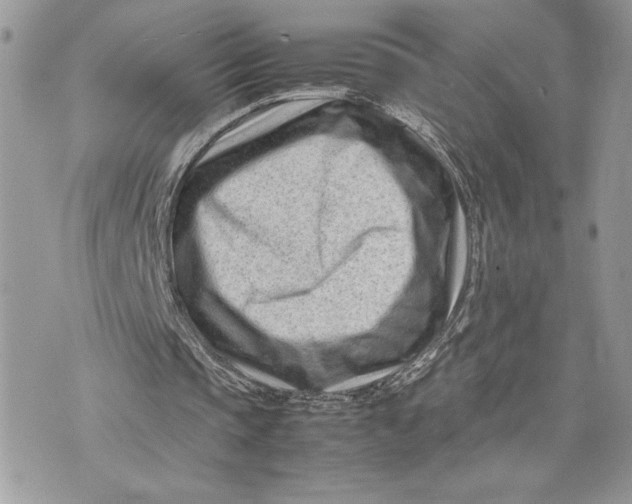 X0000075360337200609291506