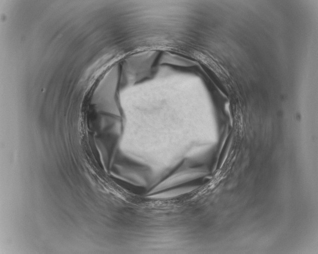 X0000075360338200609291506