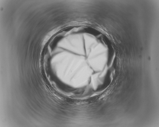 X0000075360340200609291506