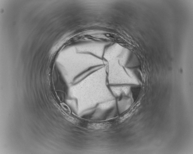 X0000075360341200609291506