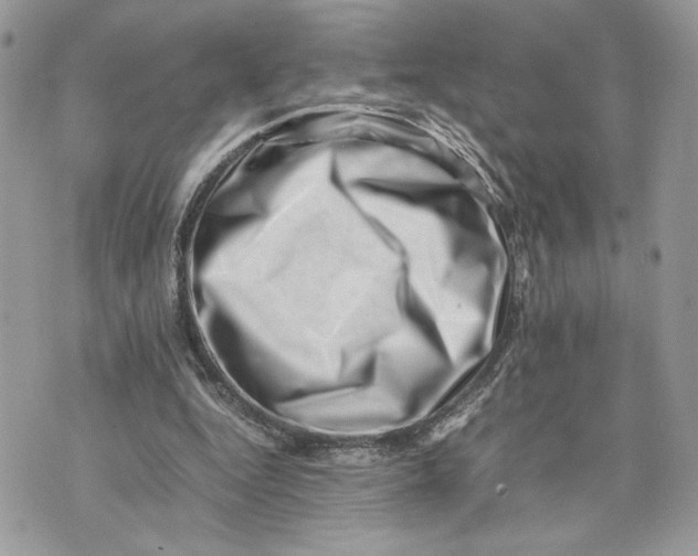 X0000075360344200609291506