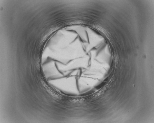 X0000075360345200609291506