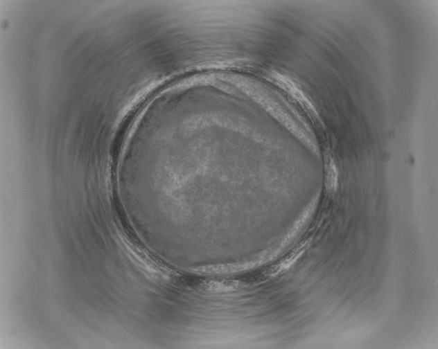 X0000075360346200609291506