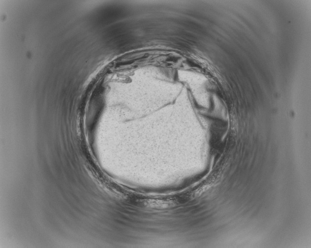 X0000075360347200609291506