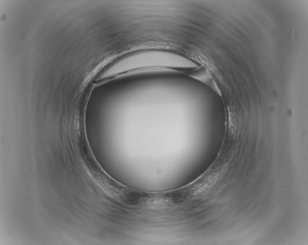 X0000075360348200609291506