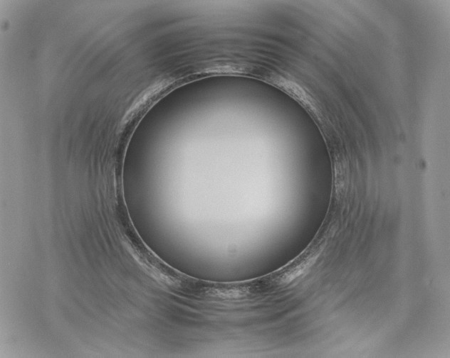 X0000075360349200609291506