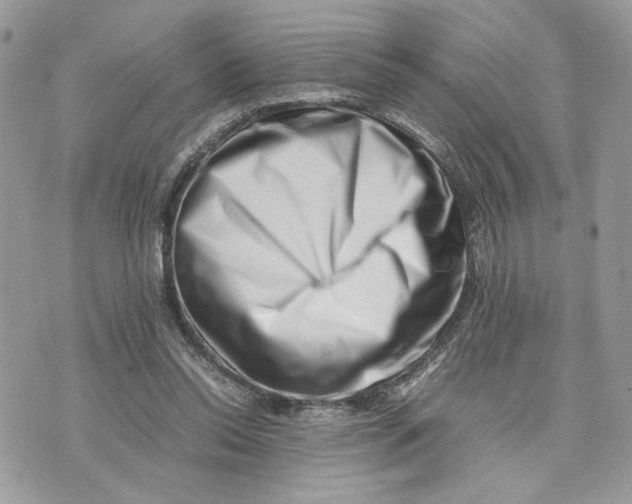 X0000075360350200609291506