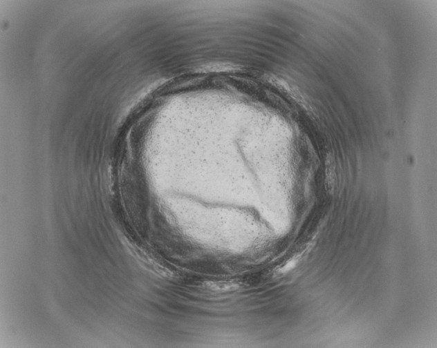 X0000075360351200609291506