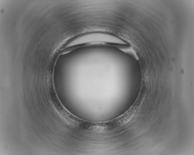 X0000075360352200609291506