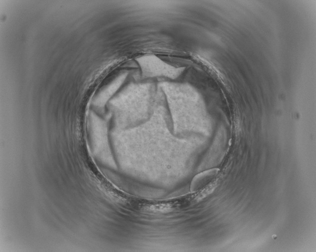 X0000075360353200609291506