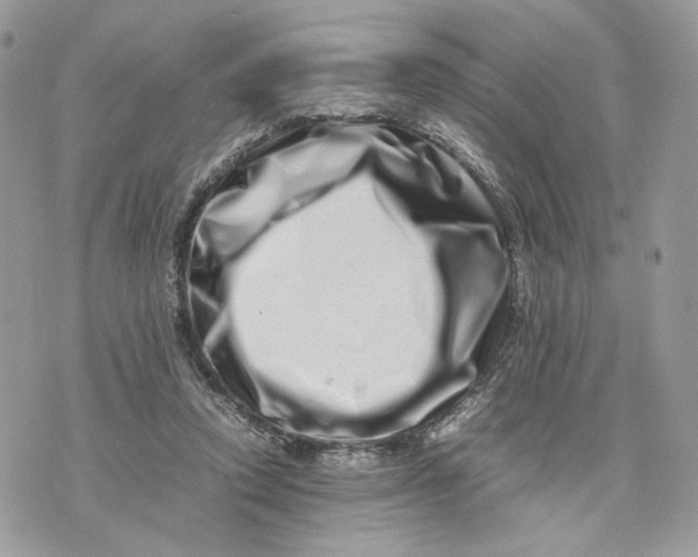 X0000075360354200609291506