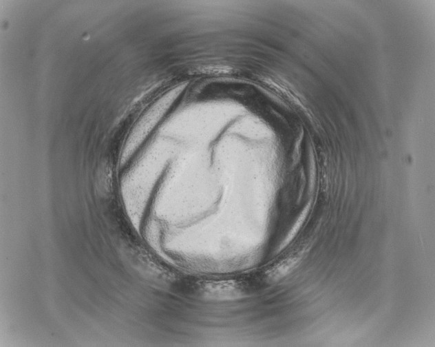 X0000075360355200609291506