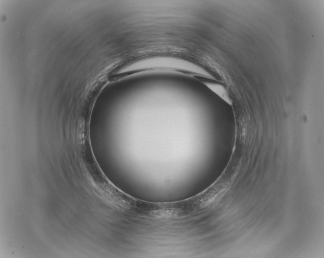 X0000075360356200609291506