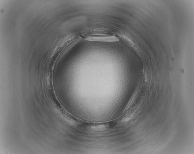 X0000075360357200609291506