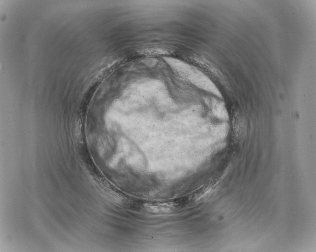 X0000075360359200609291506