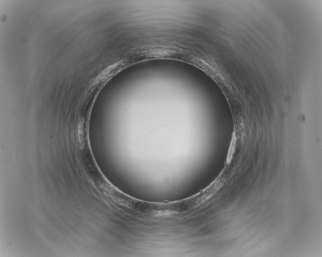 X0000075360360200609291507