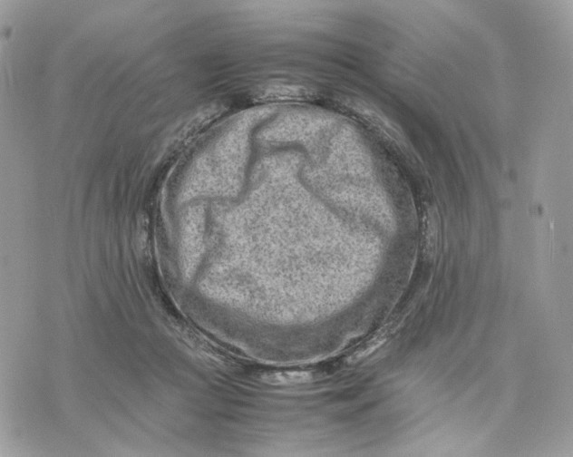 X0000075360361200609291507