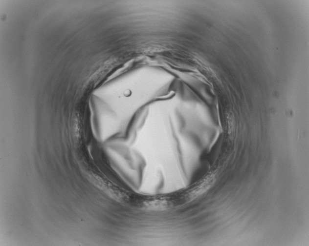 X0000075360362200609291507