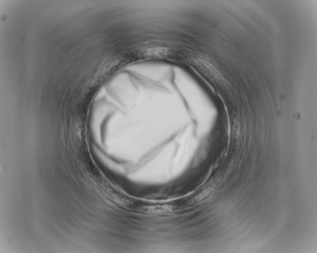 X0000075360363200609291507