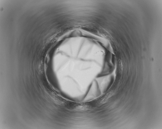 X0000075360364200609291507