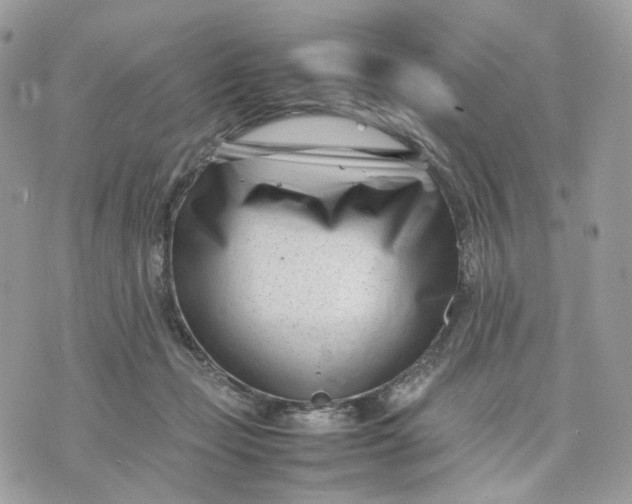 X0000075360365200609291507