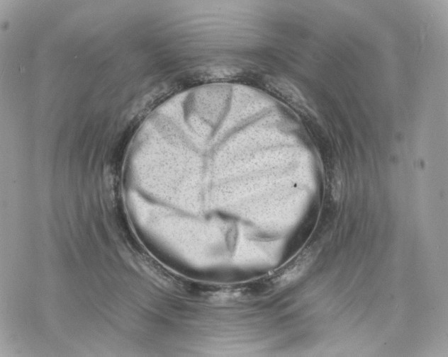 X0000075360366200609291507