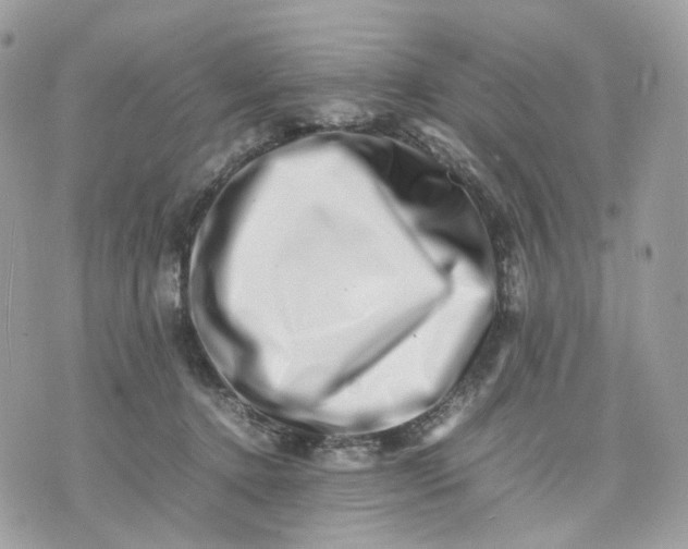 X0000075360368200609291507