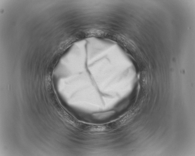 X0000075360369200609291507