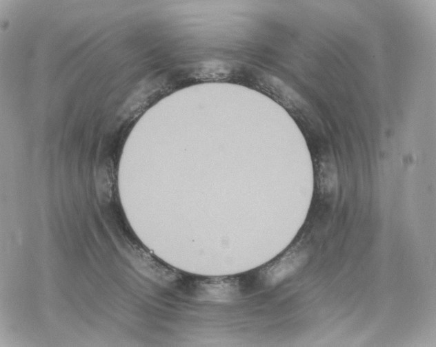 X0000075360370200609291507