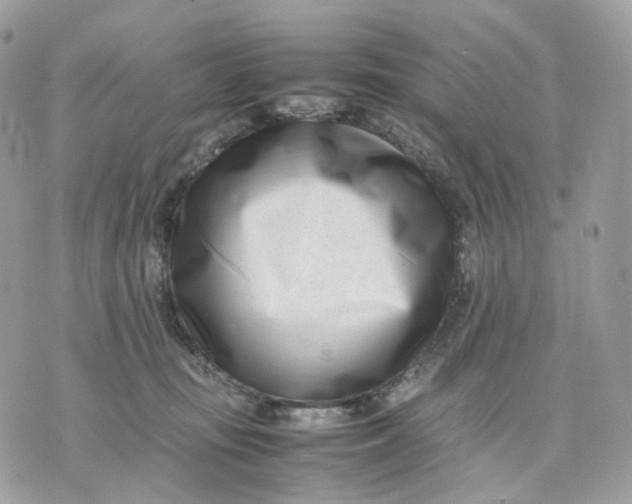 X0000075360371200609291507