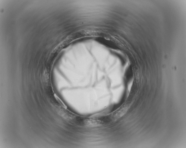 X0000075360372200609291507