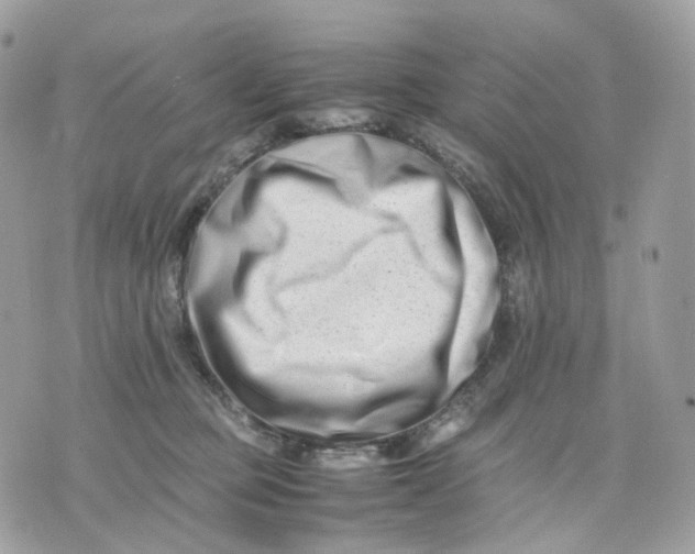 X0000075360373200609291507