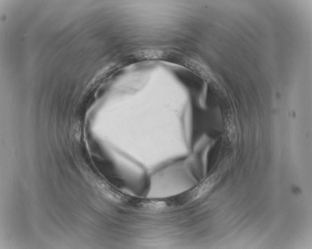 X0000075360374200609291507