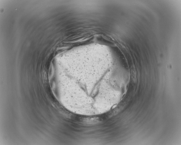 X0000075360375200609291507