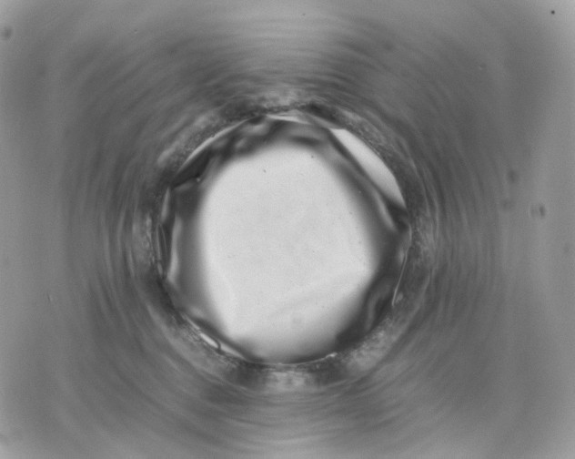 X0000075360376200609291507