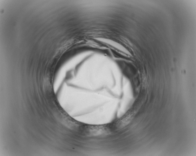 X0000075360377200609291507