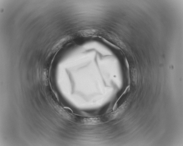 X0000075360378200609291507