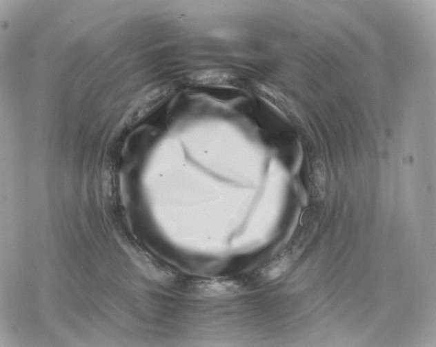 X0000075360379200609291507