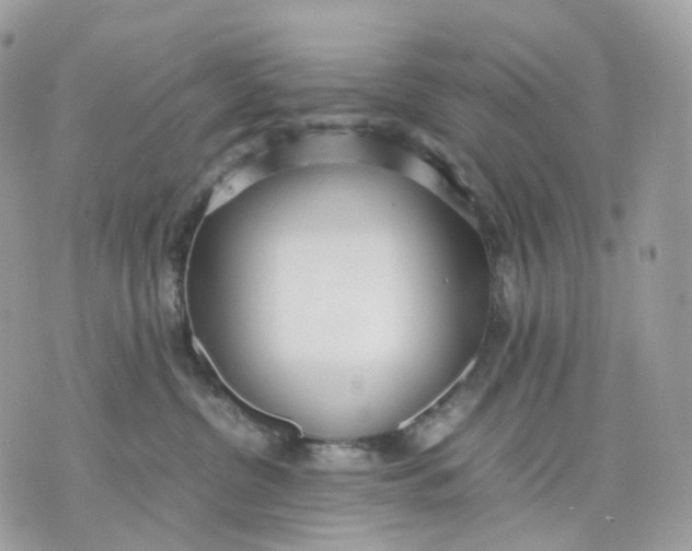 X0000075360380200609291507