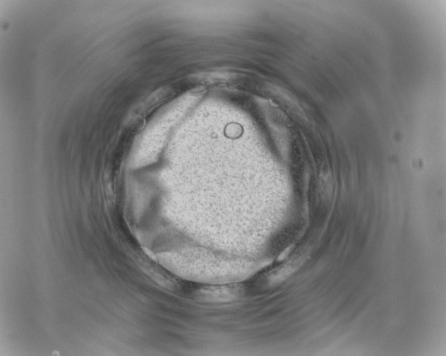 X0000075360381200609291507