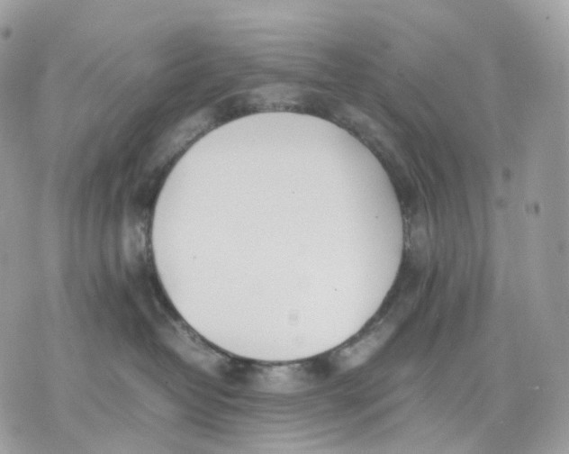 X0000075360382200609291507