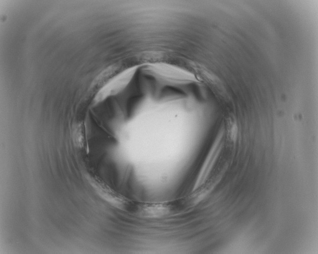 X0000075360383200609291507