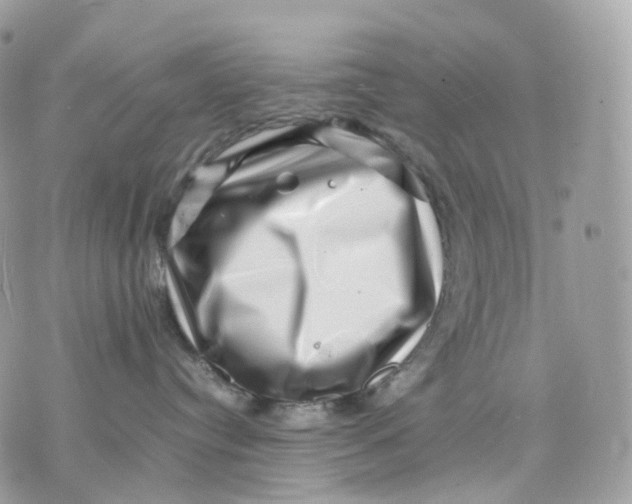 X0000075360384200609291507