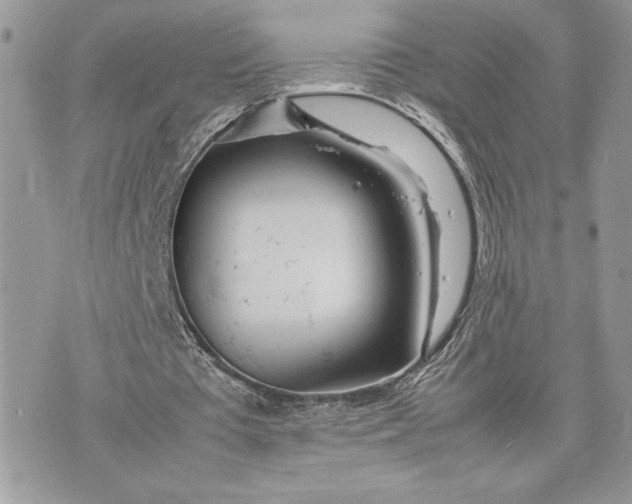 X0000075360385200609291506